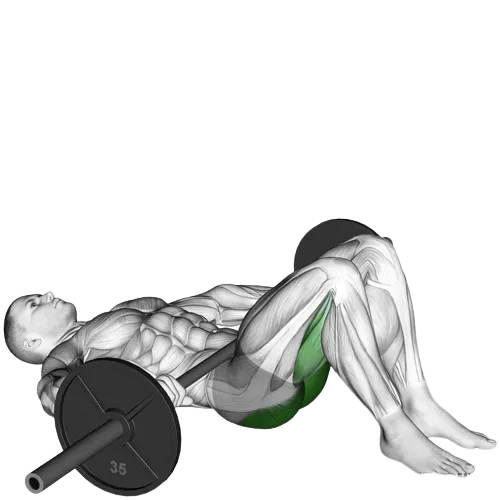 barbell-glute-bridge