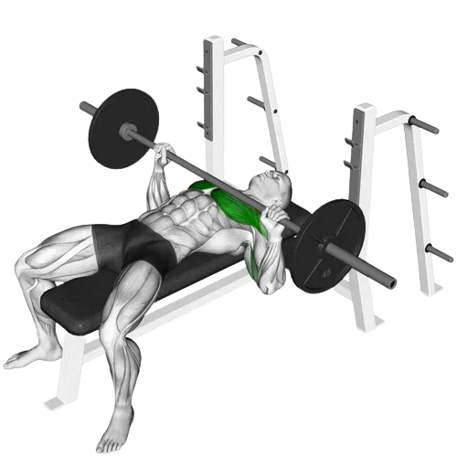 bench-press