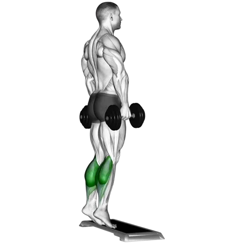 dumbbell-calf-raise