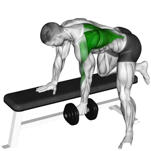 dumbbell-row