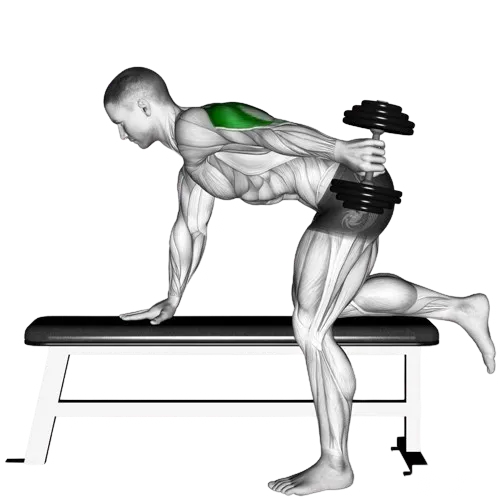 dumbbell-tricep-kickback