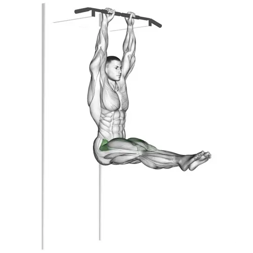 hanging-leg-raise