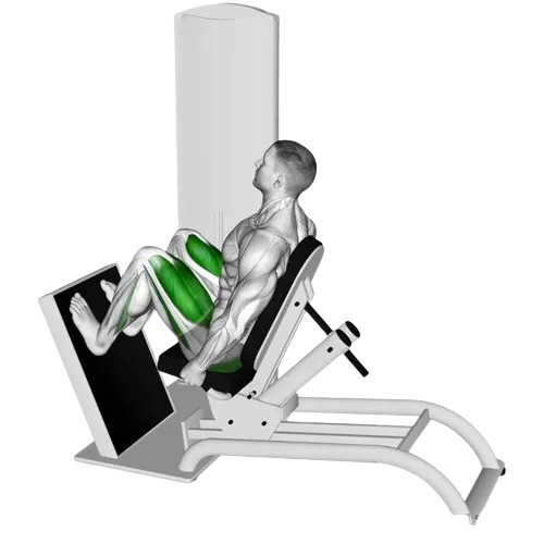 horizontal-leg-press