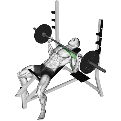 incline-bench-press