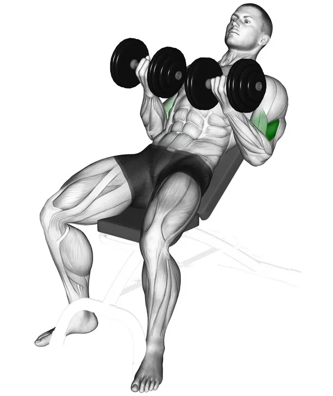 incline-dumbbell-curl