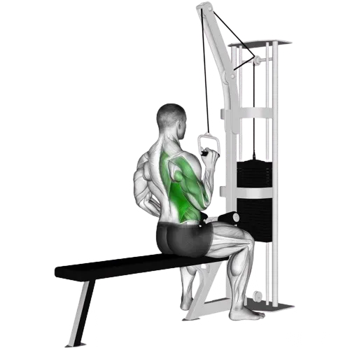 one-arm-lat-pulldown