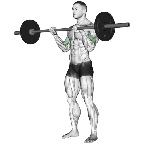 reverse-barbell-curl