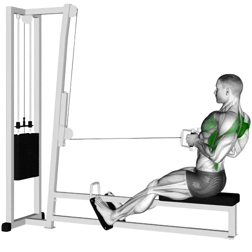 seated-cable-row