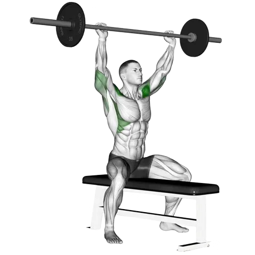 seated-shoulder-press