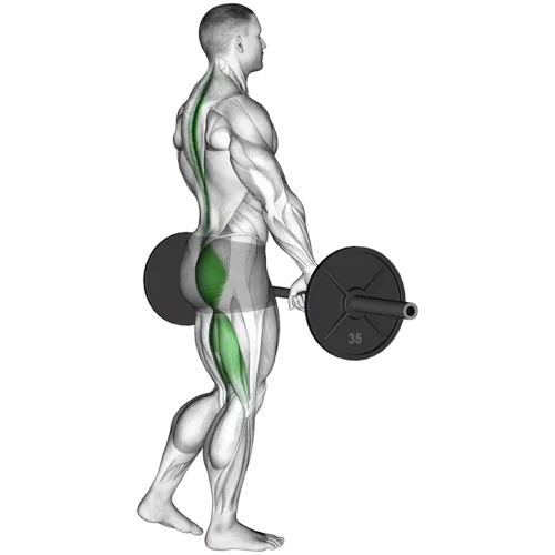 single-leg-deadlift