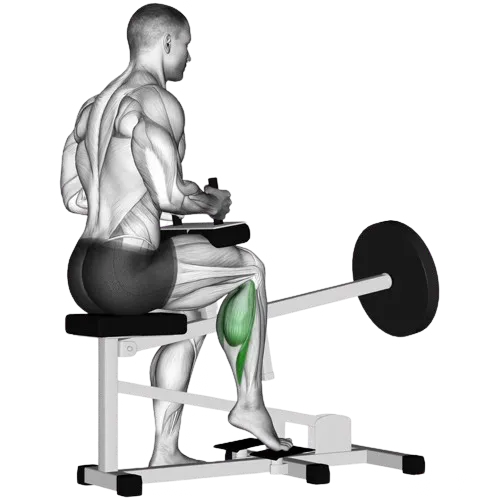 single-leg-seated-calf-raise