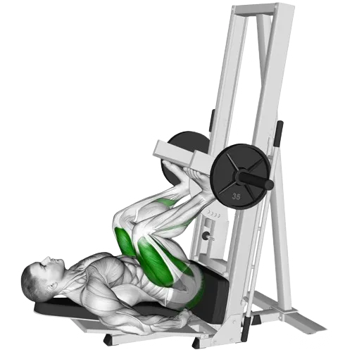 vertical-leg-press